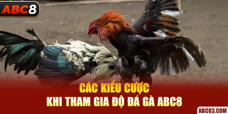 Đá Gà ABC8 – Trận Nổ Cựa Sắt, Tiền Về Cực Nhanh Các kiểu cược khi tham gia độ đá gà ABC8