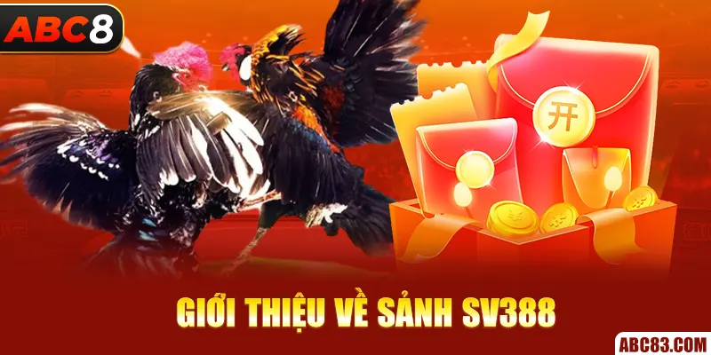 Sảnh SV388 - Sân Chơi Đá Gà Đẳng Cấp Nhất Cho Các Kê Thủ Giới thiệu về Sảnh SV388