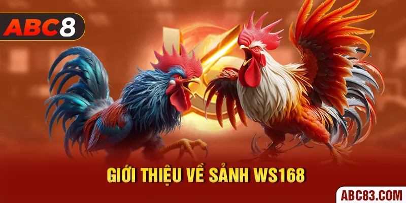 Sảnh Ws168 – Thiên Đường Đá Gà Đẳng Cấp Số 1 Thế Giới Giới thiệu về sảnh Ws168