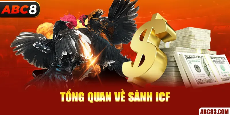 Sảnh ICF – Nơi Tận Hưởng Những Trận Đá Gà Siêu Kinh Điển Tổng quan về sảnh ICF