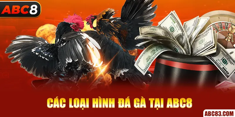 Sảnh SV388 - Sân Chơi Đá Gà Đẳng Cấp Nhất Cho Các Kê Thủ Các loại hình đá gà tại ABC8