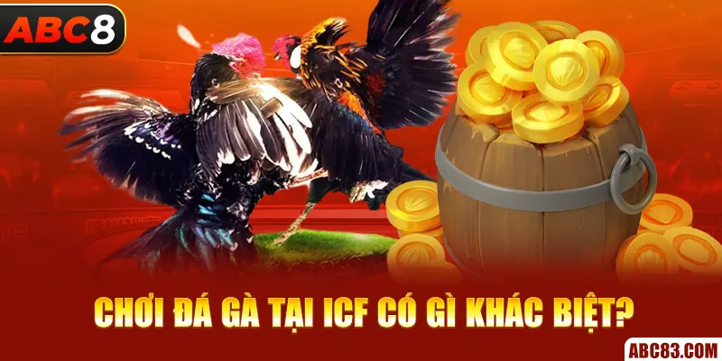 Sảnh ICF – Nơi Tận Hưởng Những Trận Đá Gà Siêu Kinh Điển Chơi đá gà tại ICF có gì khác biệt?