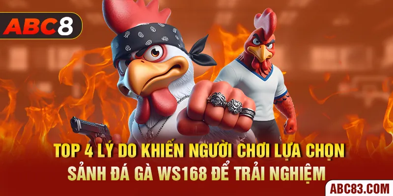Sảnh Ws168 – Thiên Đường Đá Gà Đẳng Cấp Số 1 Thế Giới Top 4 lý do khiến người chơi lựa chọn sảnh đá gà Ws168 để trải nghiệm