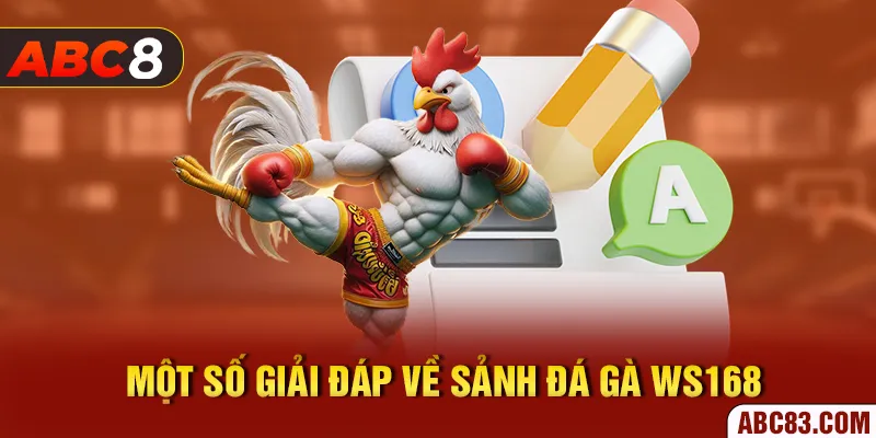 Sảnh Ws168 – Thiên Đường Đá Gà Đẳng Cấp Số 1 Thế Giới Một số giải đáp về sảnh đá gà Ws168