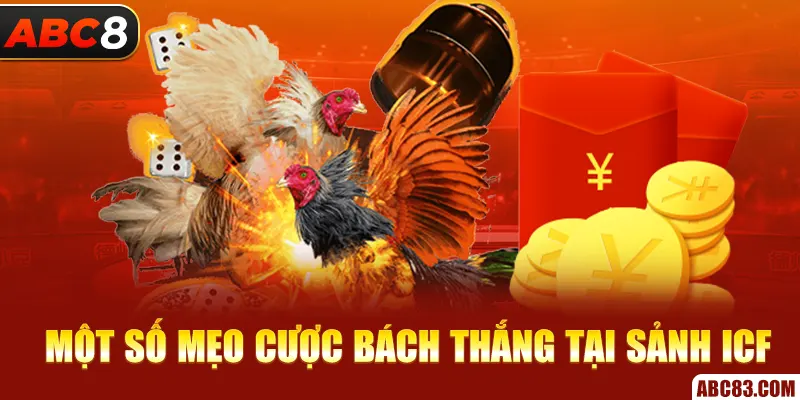 Sảnh ICF – Nơi Tận Hưởng Những Trận Đá Gà Siêu Kinh Điển Một số mẹo cược bách thắng tại sảnh ICF