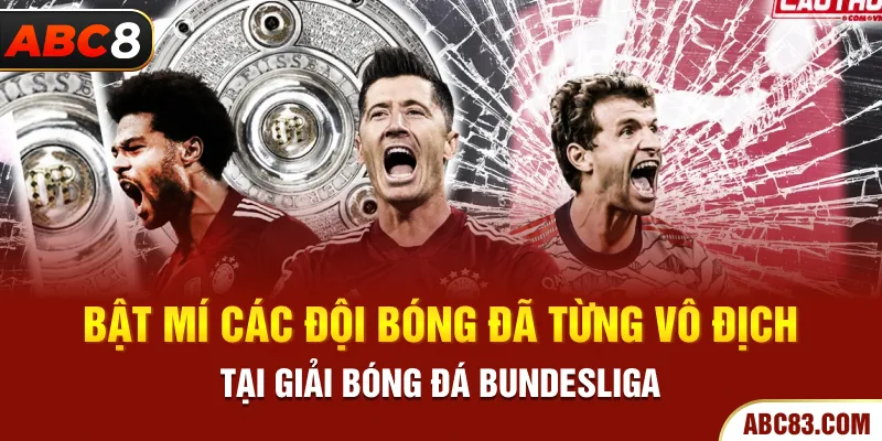 Giải Vô Địch Quốc Gia Đức - Giải Đáp Chi Tiết Cùng ABC8 Bật mí các đội bóng đã từng vô địch tại giải bóng đá bundesliga
