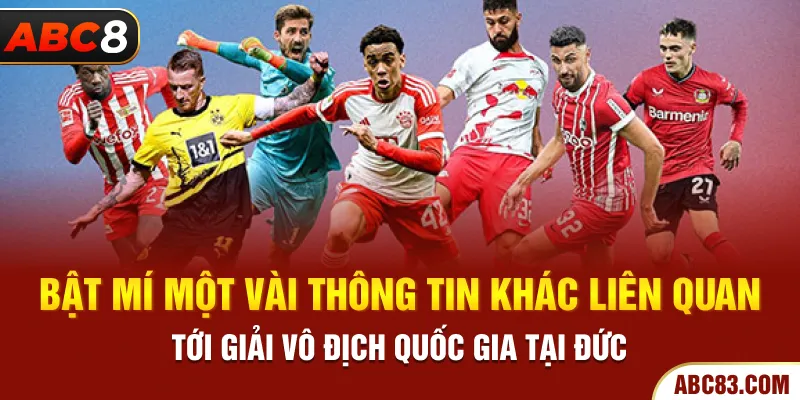Giải Vô Địch Quốc Gia Đức - Giải Đáp Chi Tiết Cùng ABC8 Bật mí một vài thông tin khác liên quan tới giải vô địch quốc gia tại đức