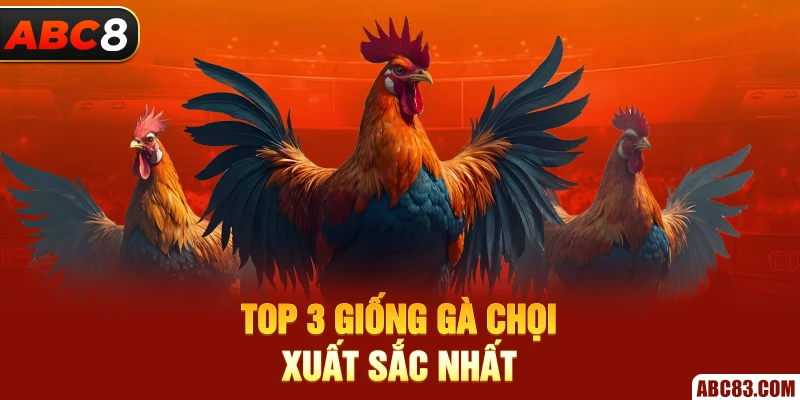 Gà Cao Lãnh Huyền Thoại Chiến Kê Đỉnh Cao Độc Quyền Ở ABC8 Top 3 giống gà chọi xuất sắc nhất
