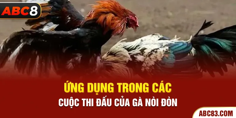 Gà Nòi Đòn – Chiến Kê Vô Địch, Sức Mạnh và Kỹ Năng Độc Đáo Ứng dụng trong các cuộc thi đấu của gà nòi đòn
